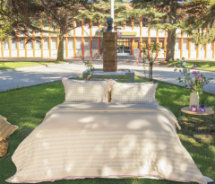 Sarev Almira Z Pike Takımı Tek Kişilik 1Y , Sarı