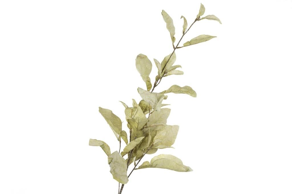 Mikasa Moor Lime Yeşil Yapay Çiçek 86cm