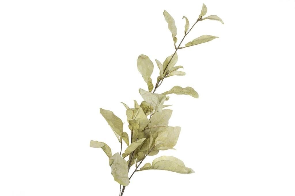 Mikasa Moor Lime Yeşil Yapay Çiçek 86cm