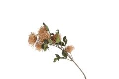 Mikasa Moor Leucospermum Somon Yapay Çiçek 75cm