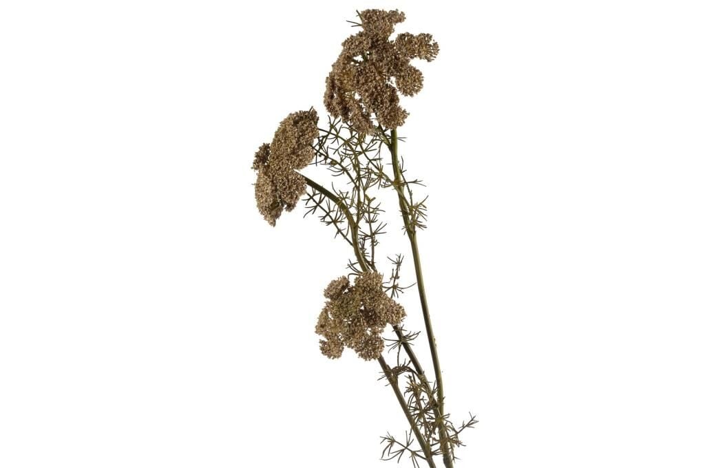 Mikasa Moor Daucus Carota Yapay Çiçek 73cm