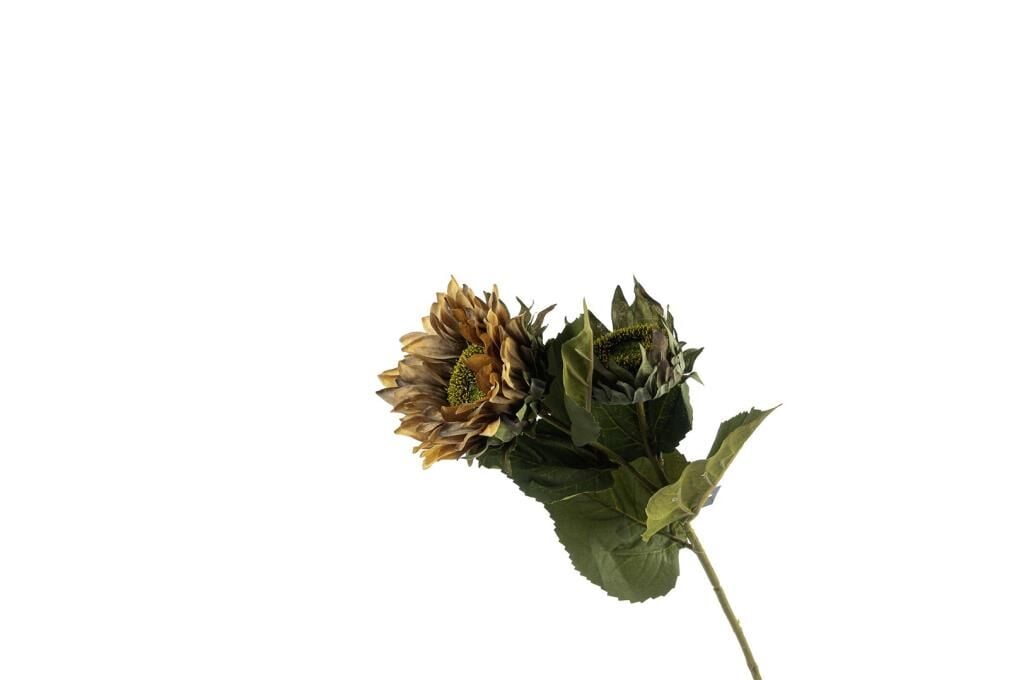 Mikasa Moor Sunflower Kahve Sarı Yapay Çiçek 60cm