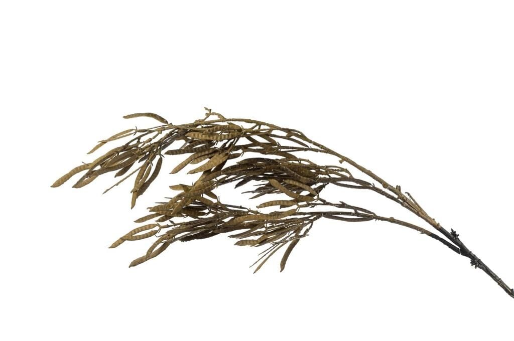 Mikasa Moor Kahve Yapay Dek Dal 105cm