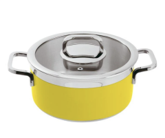 Paderno Kapaklı Tencere Sarı Cm 20 H 10