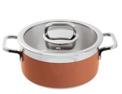 Paderno Kapaklı Tencere Turuncu Cm 20 H 10