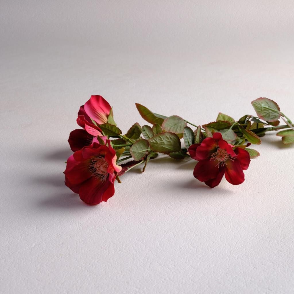 Sarev Wıld Rose Burgundy Çiçek Y65, .Kırmızı