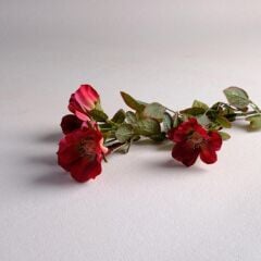 Sarev Wıld Rose Burgundy Çiçek Y65, .Kırmızı