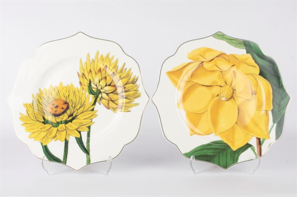 Mikasa Moor Art Of Botanica Sarı 2li Tatlı Tabağı 21cm