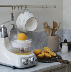 Ankarsrum Narenciye Sıkacağı Aparatı