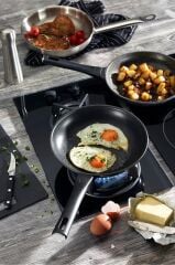 Zwilling Madura Plus Granıt Kızartma Tavası 20