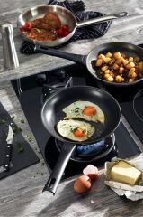 Zwilling Madura Plus Granıt Kızartma Tavası 20