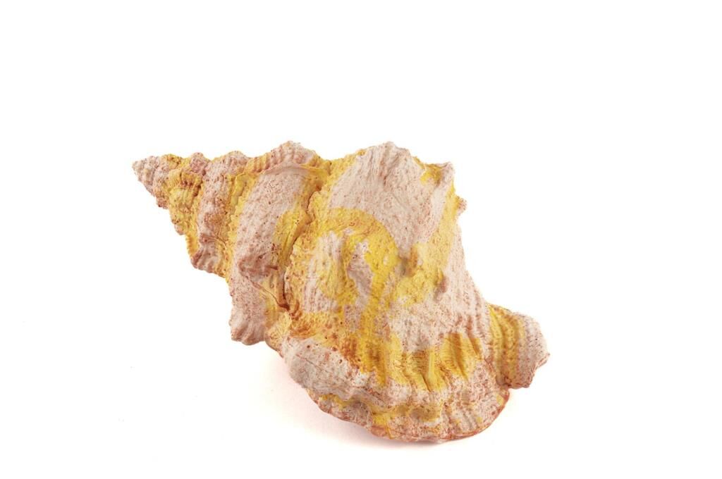 Mikasa Moor Deniz Salyangozu 17x12x10cm