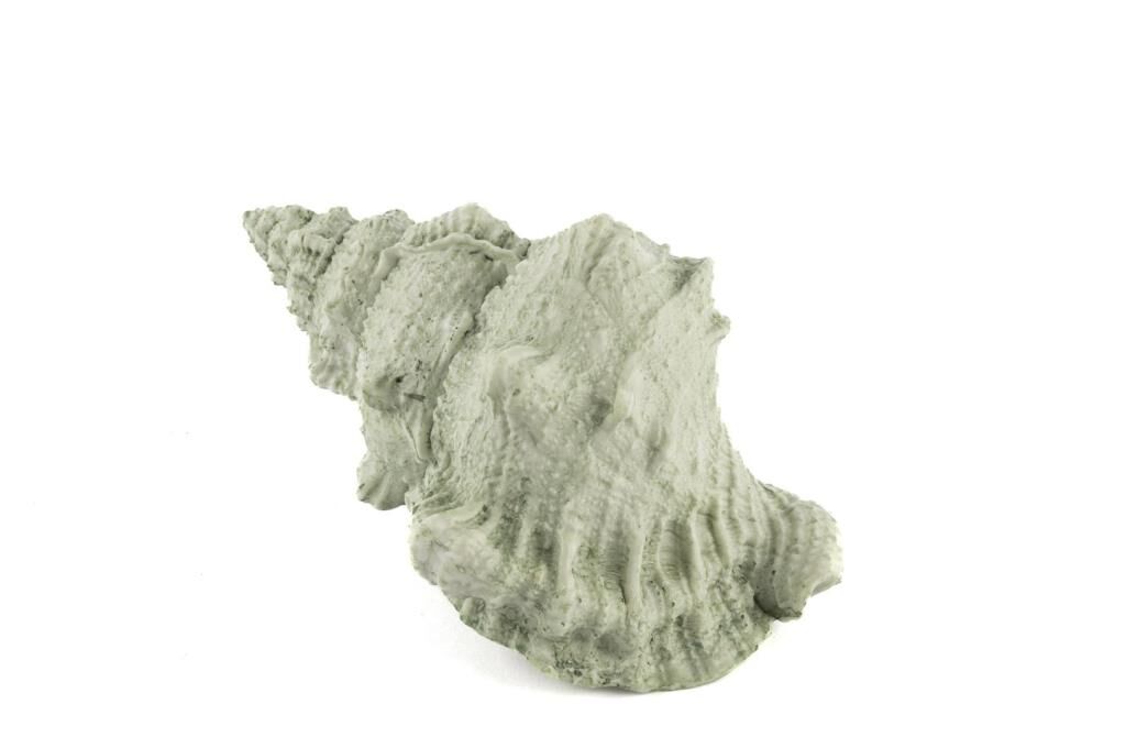 Mikasa Moor Deniz Salyangozu 17x12x10cm