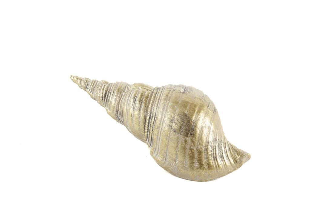 Mikasa Moor Gold Deniz Kabuğu 21x7cm