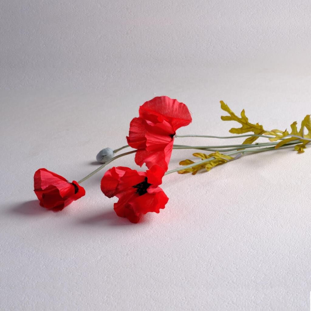 Sarev Poppy Çiçek Y60, .Kırmızı