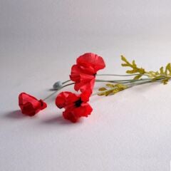 Sarev Poppy Çiçek Y60, .Kırmızı