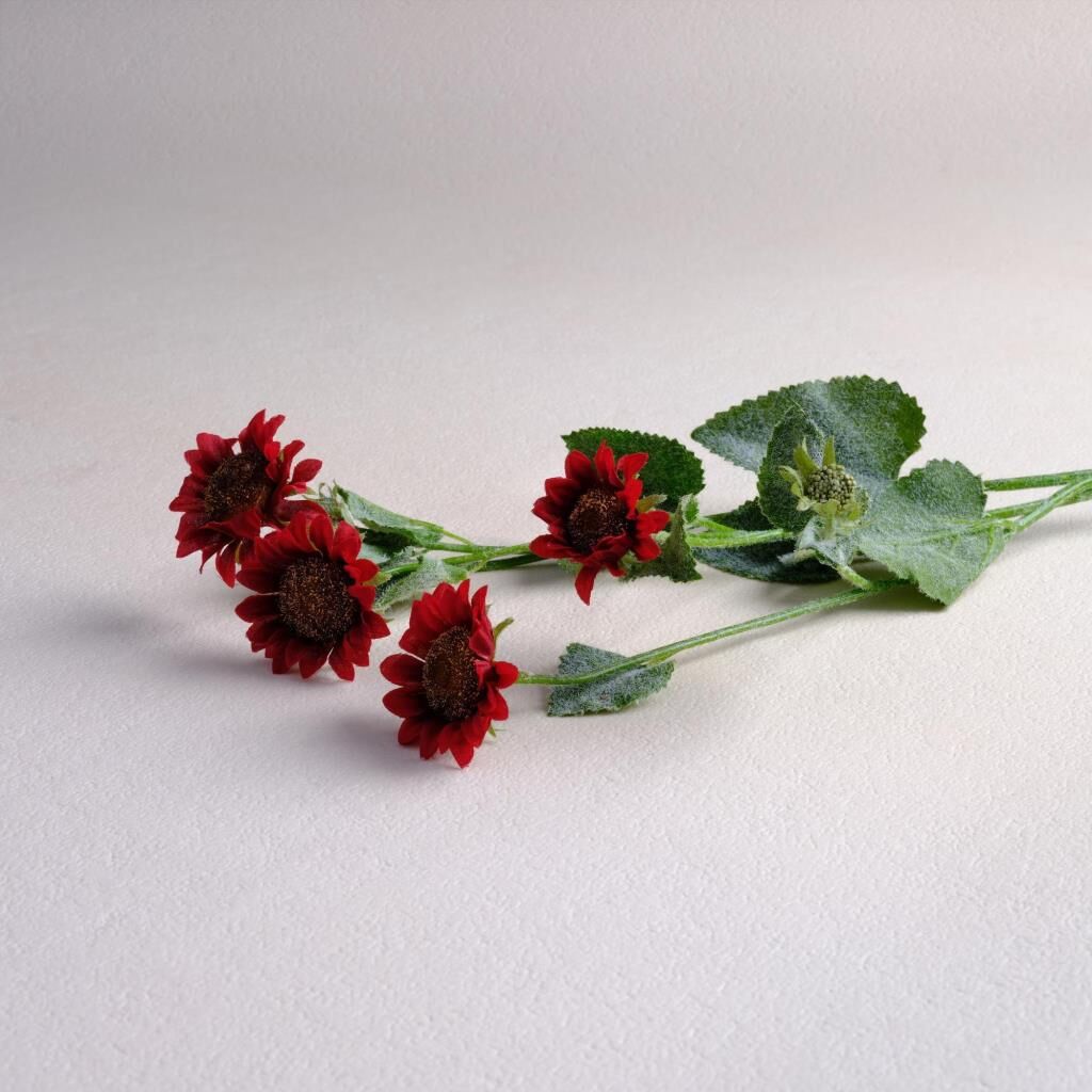 Sarev Sun Çiçek Y50, .Bordo