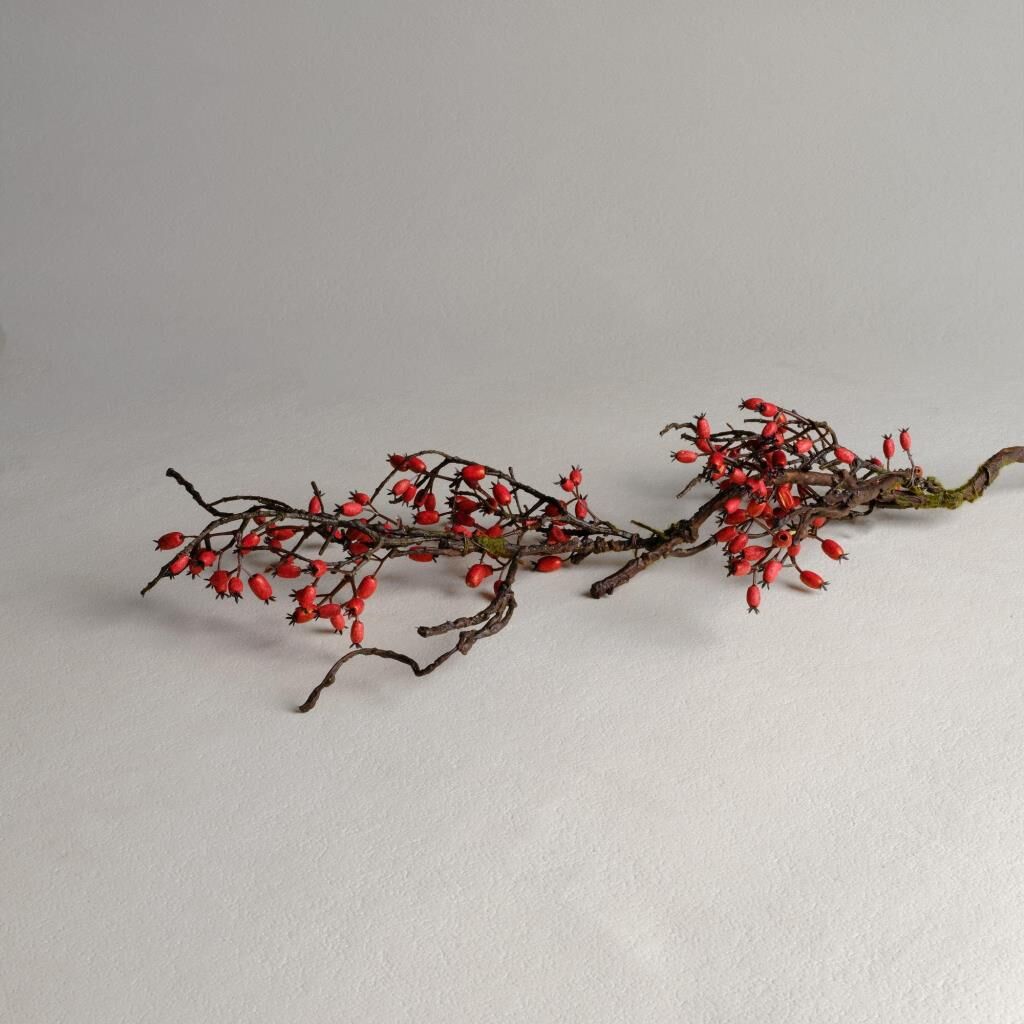 Sarev Berry Çiçek 60Y, .Kırmızı