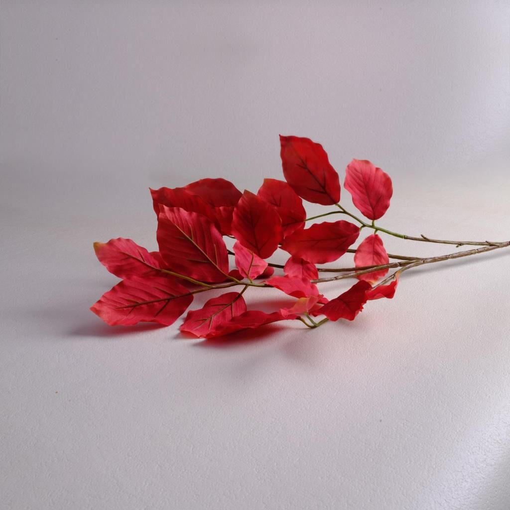 Sarev Leaf Çiçek Y96, Standart