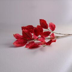 Sarev Leaf Spray Y96, Standart