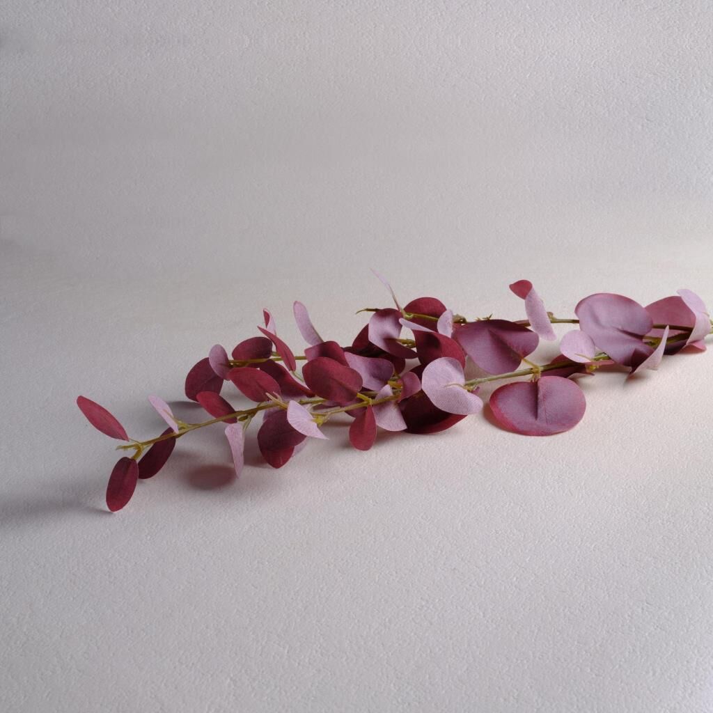 Sarev Eucalyptus Çiçek Y79, Standart