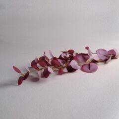 Sarev Eucalyptus Çiçek Y79, Standart