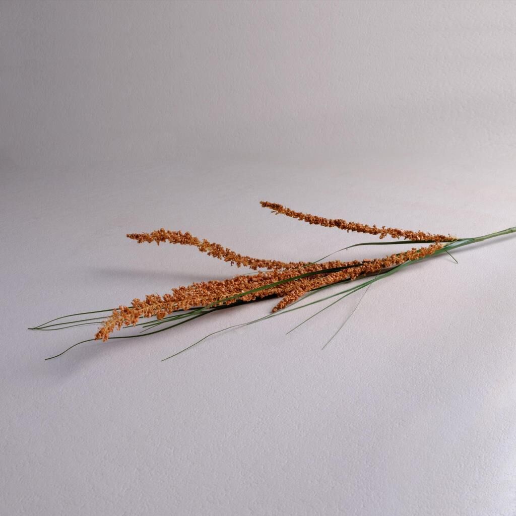 Sarev Astılbe Çiçek Y90, .Taba