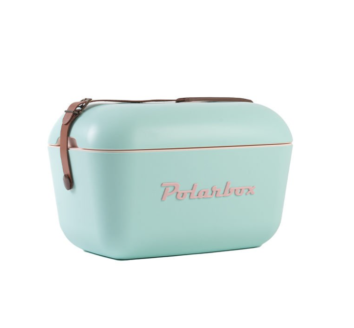 Polarbox Deri Kayışlı Turkuaz-Pembe Soğuk Ve Sıcak Tutucu Thermo Çanta 12 L