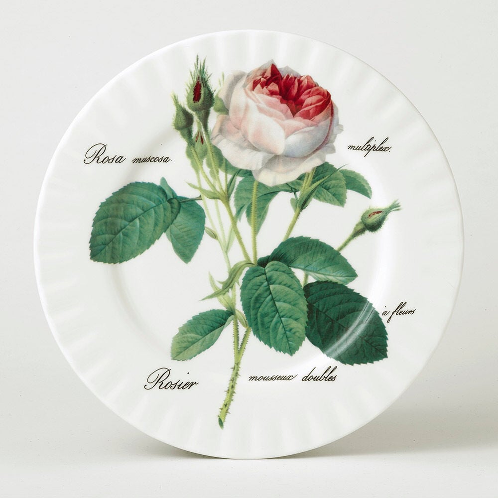 Roy Kirkham Redoute Rose Servis Tabak 27Cm-Tekli