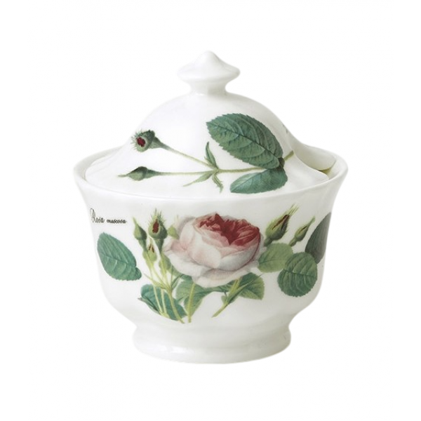 Roy Kirkham Redoute Rose Kapaklı Şekerlik