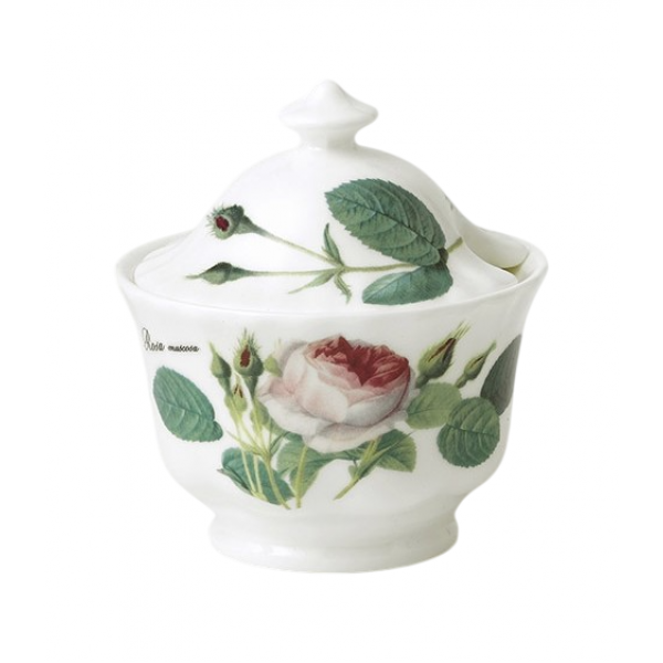 Roy Kirkham Redoute Rose Kapaklı Şekerlik