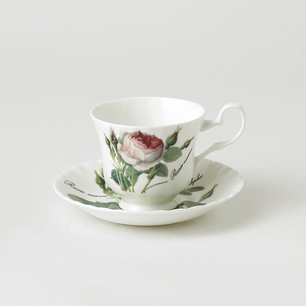 Roy Kirkham Redoute Rose Çay Fincan Ve Tabak-Tekli