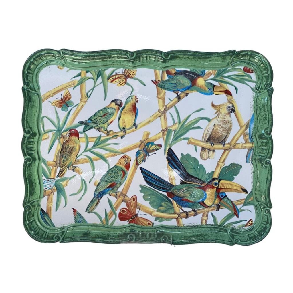 Tirinnanzi Taucan Dikdörtgen Orta Tepsi 41x32cm