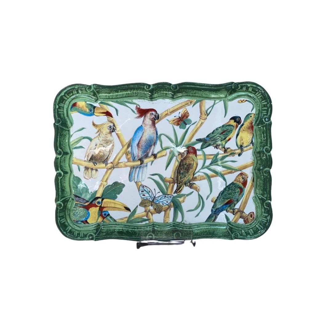 Tirinnanzi Taucan Dikdörtgen Orta Tepsi 27x36cm