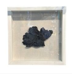 Mikasa Moor Mercanlı Beyaz Çerçeve Tablo