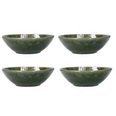 Mikasa Jardin Stoneware Makarna Tabak Seti 20cm