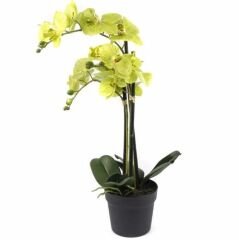 Mikasa Moor Yeşil 3lü Yapay Orkide 65cm