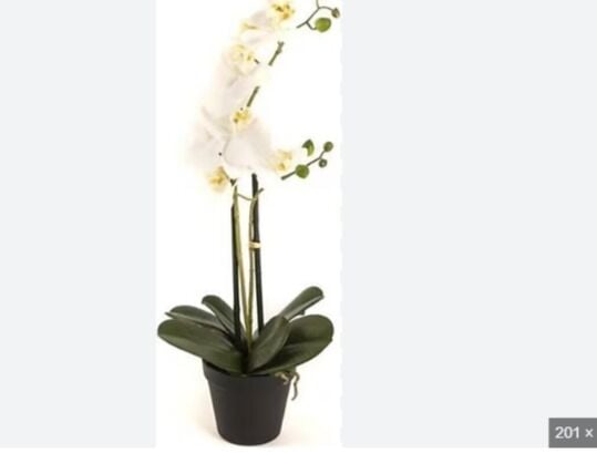 Mikasa Moor Beyaz 2 Dallı Yapay Orkide 58cm