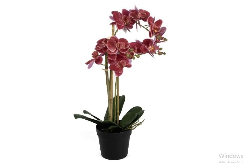 Mikasa Moor Fuşya 3 Dallı Yapay Orkide 65cm