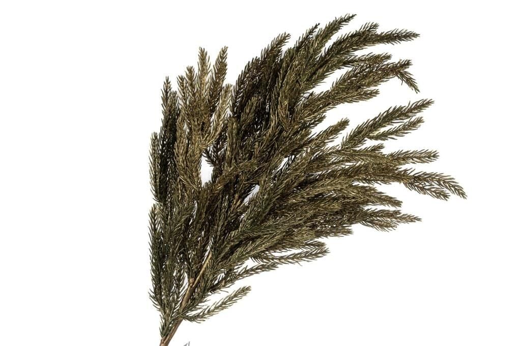 Mikasa Moor Pine Gold Yapay Çiçek 91cm
