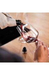 Zwilling Fresh & Save Vakum Şişe Aparatı Tekli