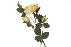 Mikasa Moor Krem Gül Yapay Çiçek 105cm