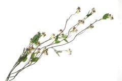 Mikasa Moor Bahar Dalı Krem Yapay Çiçek 105cm