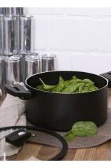 Berndes 442052 B.Green Induction Tencere 24 Cm