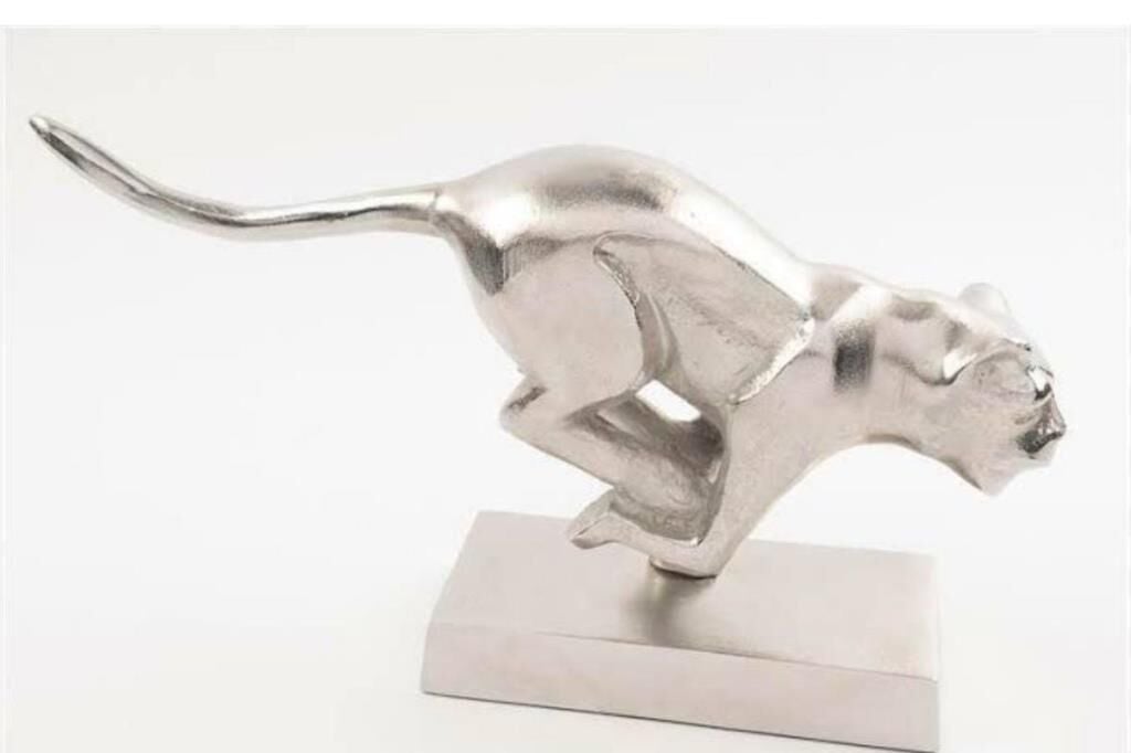 Mikasa Moor Gümüş Puma