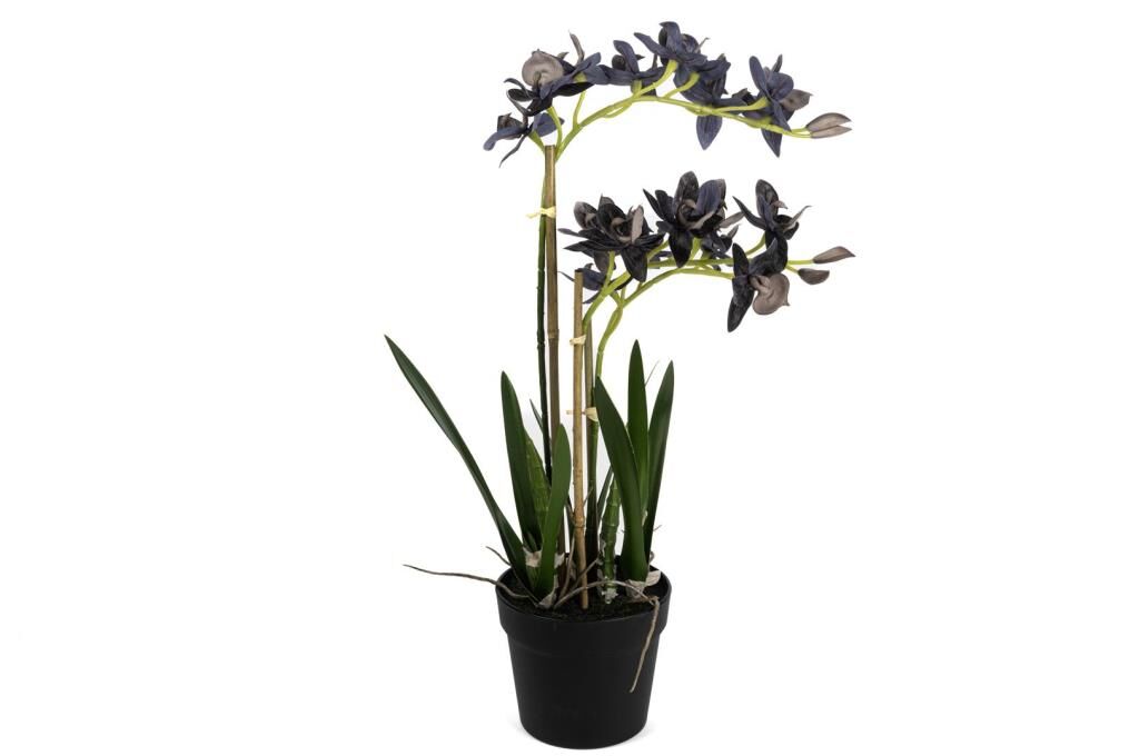 Mikasa Moor Mor Yapay Vanda Orkide 61cm