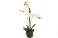 Mikasa Moor Beyaz 3lü Yapay Orkide 65cm